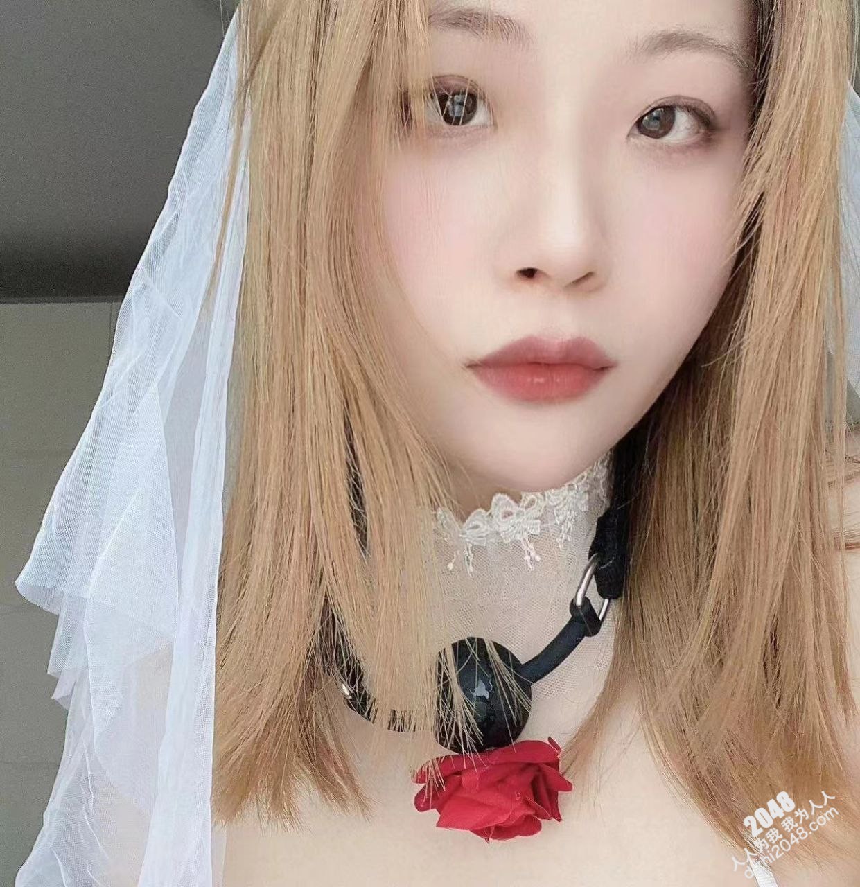 美女 反差婊