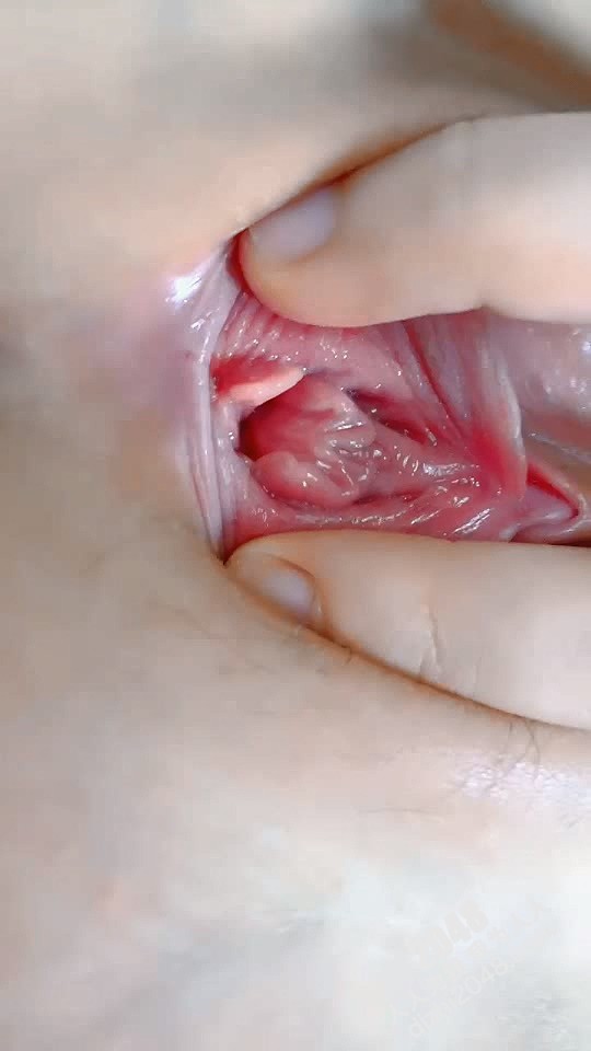 颜值天花板露脸姐妹花精彩大秀直播,甜美可爱跟狼友撩骚互动听指挥,跳蛋塞逼里道具抽插吃奶玩逼特写好刺激