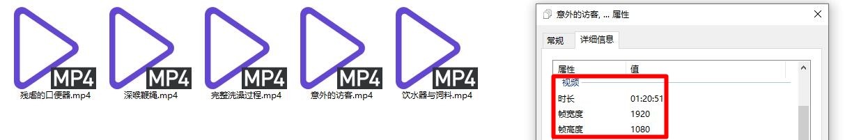 ☀最新流出,推特优质超强调教大佬【奴隶物语】少女劳改屋篇第二季②,各种未曾见过的花样调教小母狗(5V)