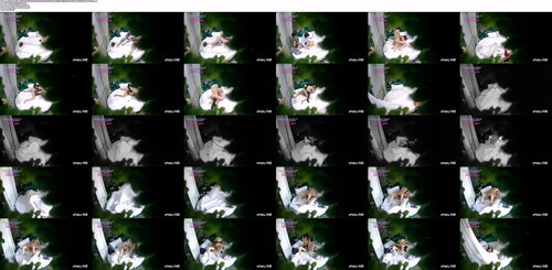 [MP4/8.2G]盜錄翹臀性癮學生妹穿黑絲制服與男友激烈啪啪淫語浪叫／綠帽大叔邀好友酒店3P苗條騷妻前吞後肏車輪戰等 16V