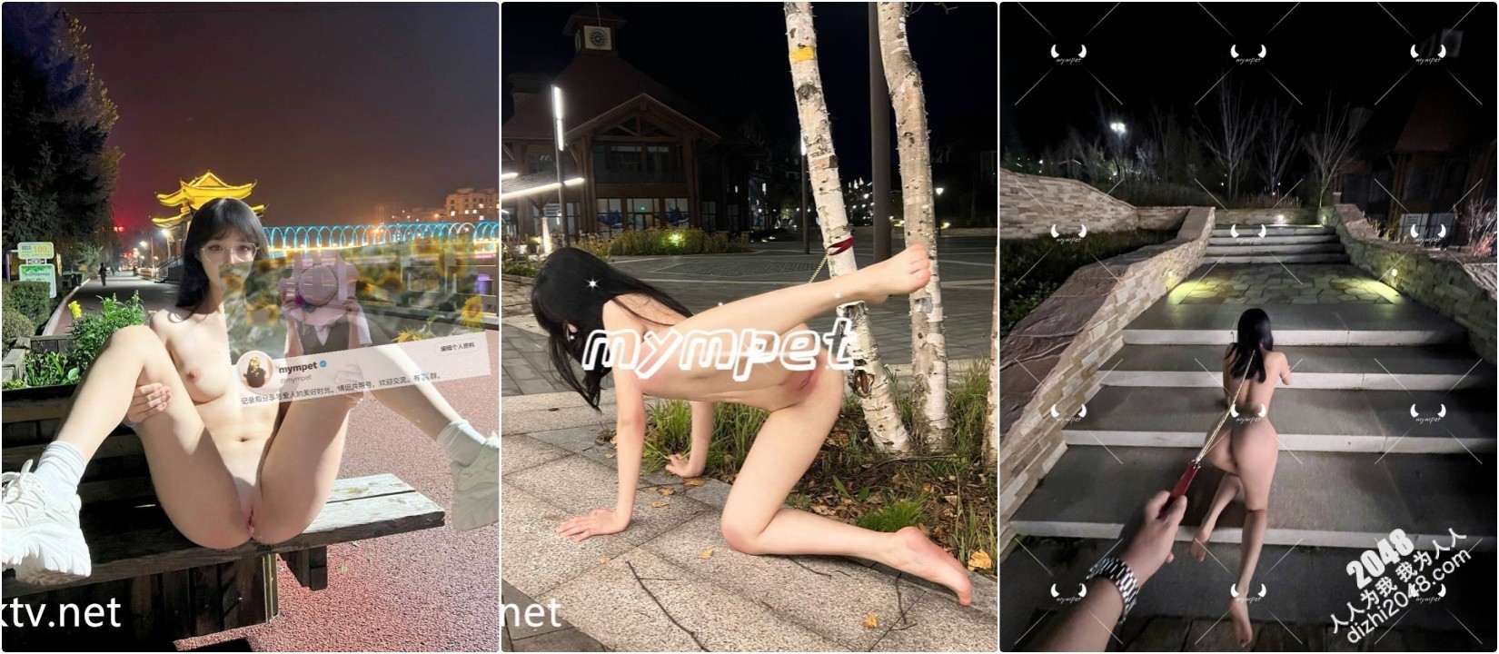 ☀明星颜值露脸女神『MYMPET』被金主爸爸当成鸡巴套子,人前露出 遛狗调教啪啪(134V)