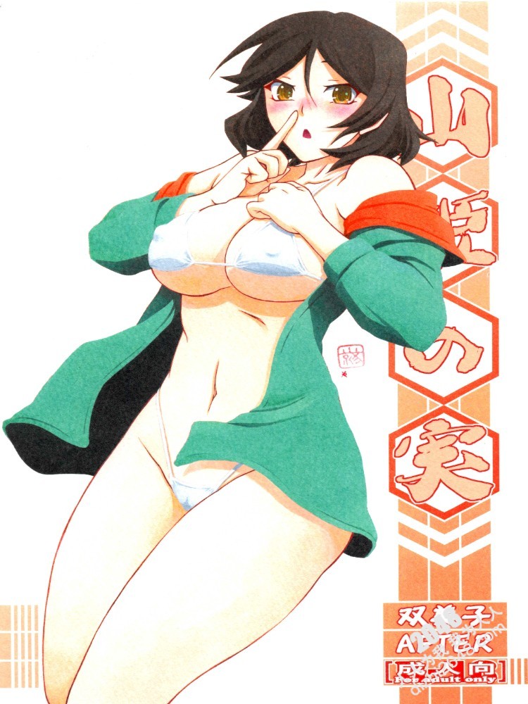 [Sankaku Apron (Yamabunkyoden, Awaii Rahi)] Yamahime no Mi Futamiko AFTER