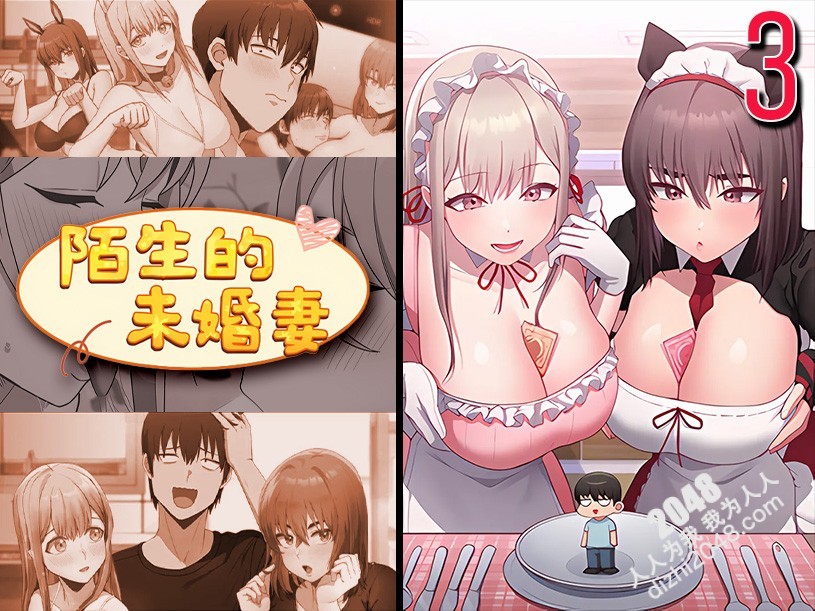 陌生的未婚妻 3
