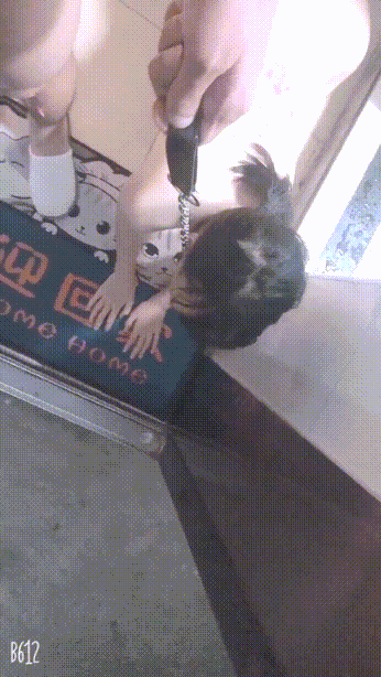 圈养校花极品嫩妹,一线天粉嫩馒头穴肉鲍超诱人,擒住双腿肉鲍被塞入肉棒✅天花板级清纯嫩妹
