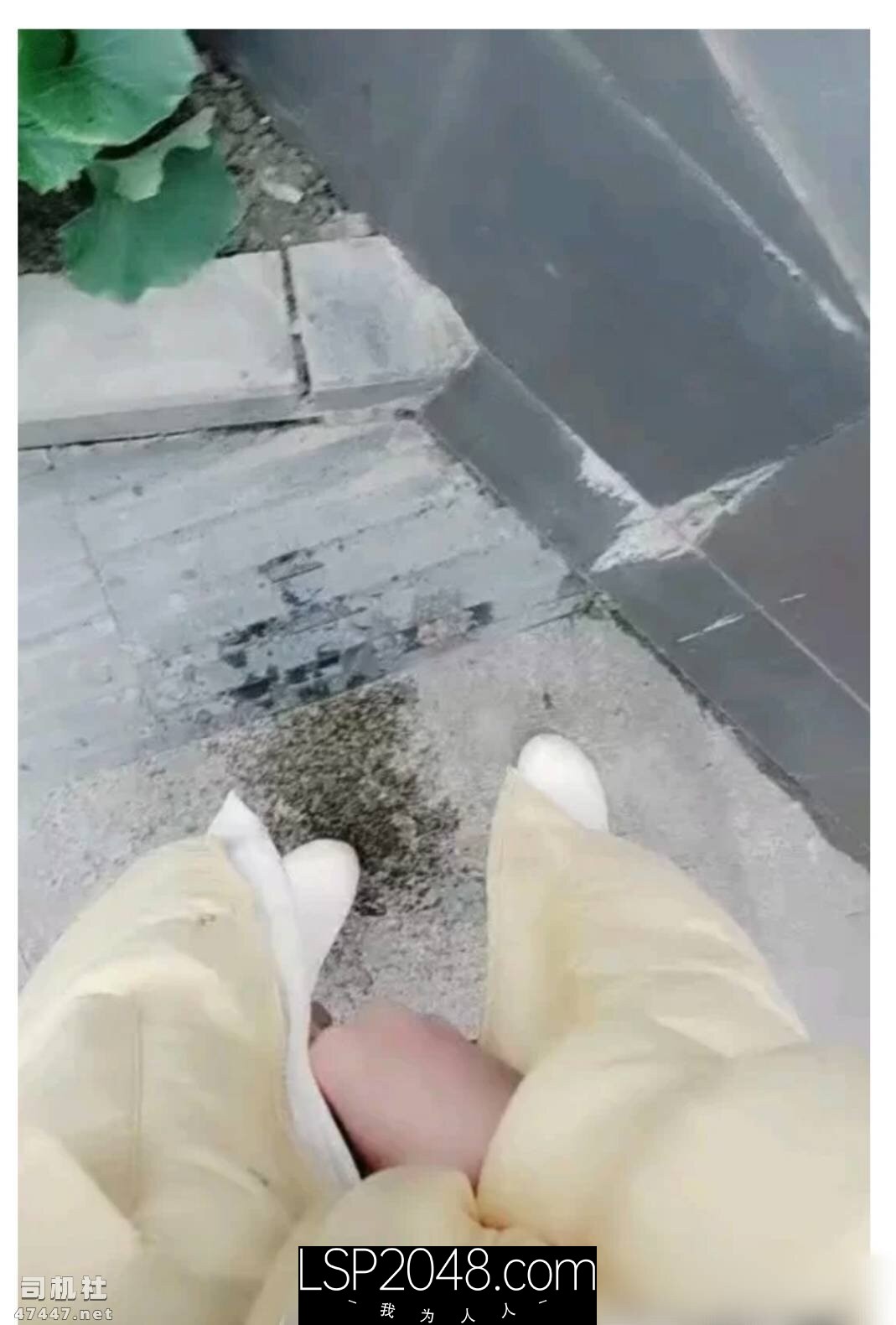  [流出]  【晴儿会下雨 31V+38G】也叫(萌妹子打底裤)高压水枪 小红帽主播 各种户外场地露出 B夹大黑牛视频福 -魔性福利