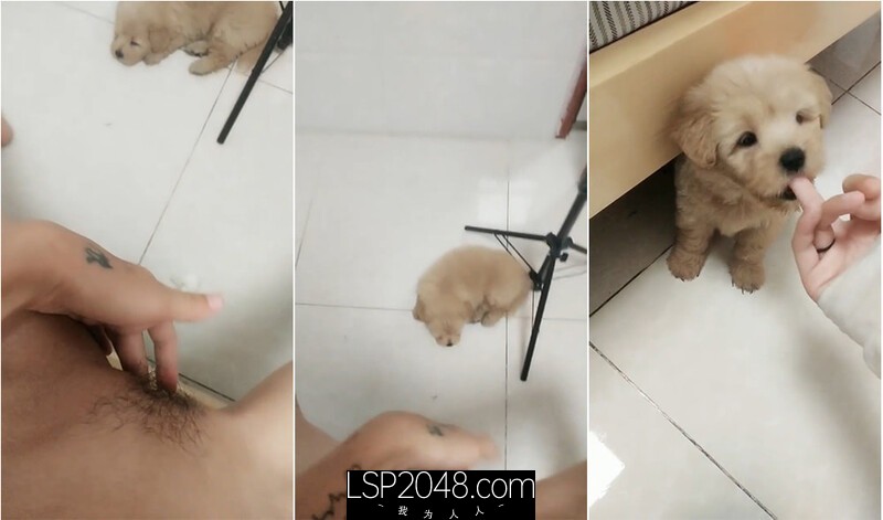 清纯活泼可爱OO後乡村精神小妹,对着小狗扣弄臊茓,扣过茓的手给小狗舔