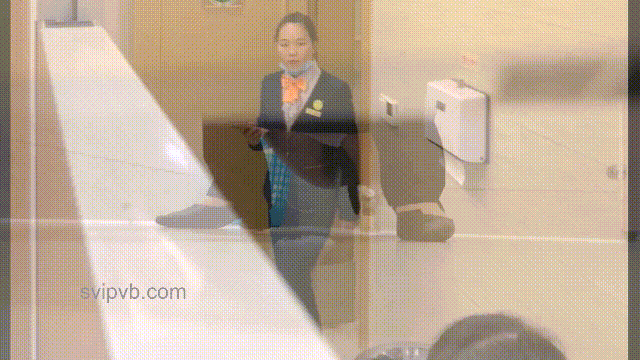 酒店女厕全景偷拍多位气质大姐保养的还不错的美鲍鱼