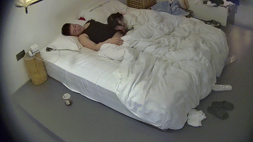 ✅酒店精品✅高颜值双马尾萝莉被富哥骑身上调教成母狗了[65V28.4G]