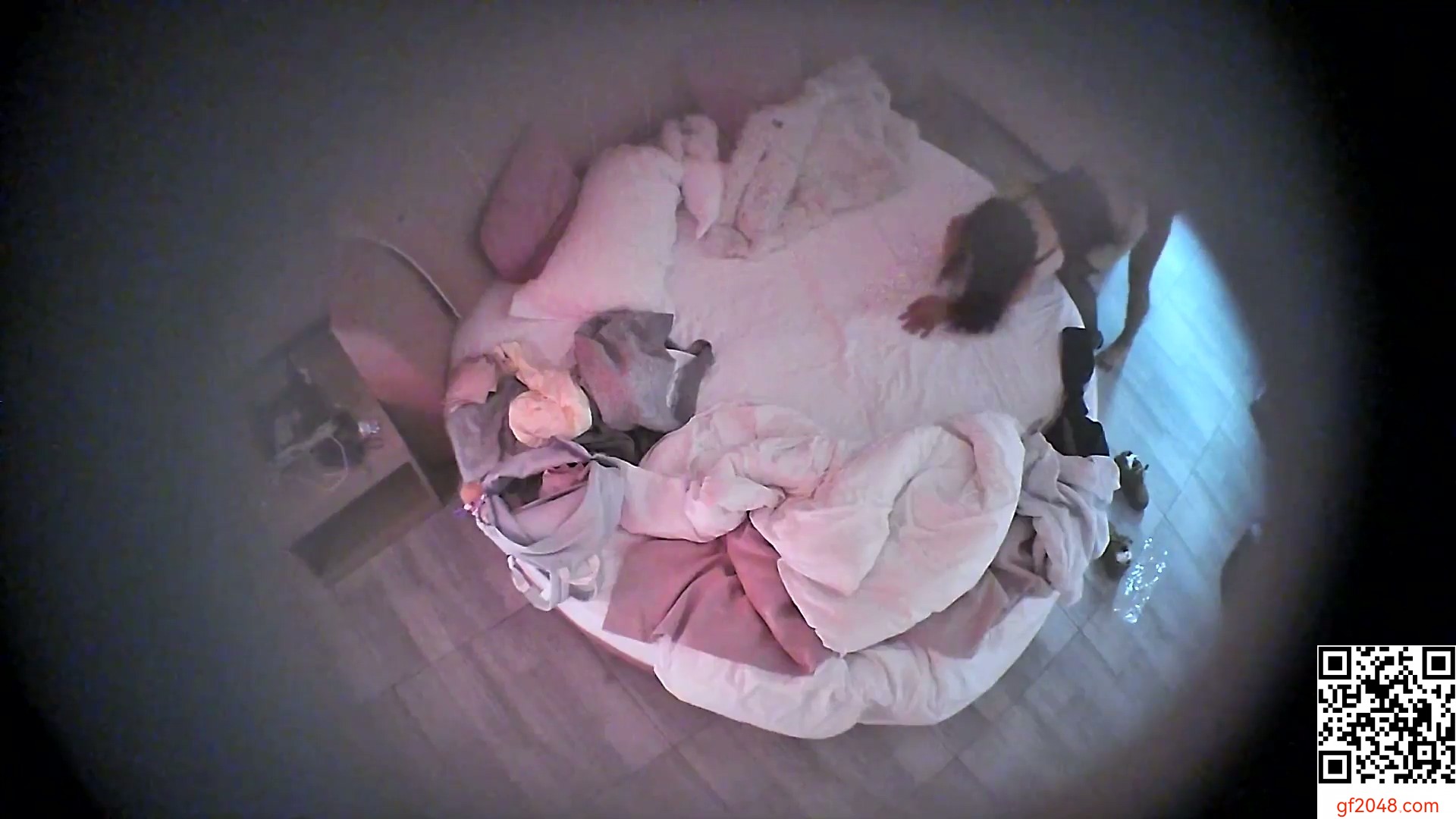 20251130乖乖女学生掏出书包内藏的情趣黑丝疯狂深蹲